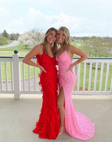 Elegant Mermaid Sequin Pink Long Prom Dresses Formal Dress P2226