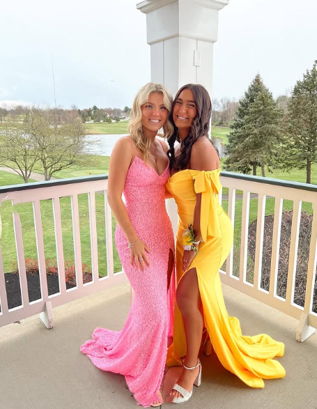 Elegant Mermaid Sequin Pink Long Prom Dresses Formal Dress P2226