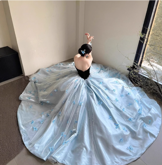Princess Light Blue Sweetheart Neck 3D Butterfly Embellished Tulle Satin Long Prom Dress Evening Dress P4685