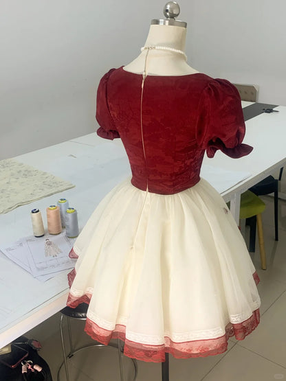 Rose Manor Burgundy and White Contrast Lace Trim Mesh Homecoming Dress  P3178