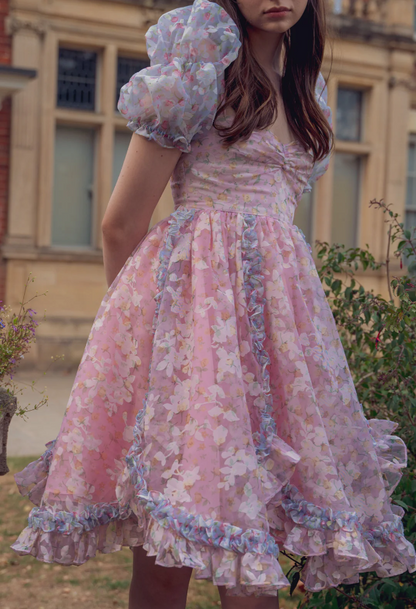 Prinzessin-Print Kurzarm Pink Tüll A-Linien Geburtstag Rock Abschlussballkleid P3775