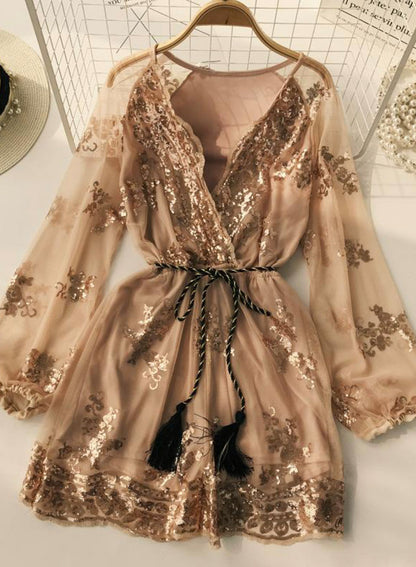 Ein langärmeliges Pailletten-Kleid mit V-Ausschnitt in A-Linie 049